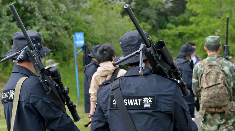 4024 Mesterlovo Vilagkupa Nagyteteny